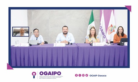 Novena Sesión Ordinaria