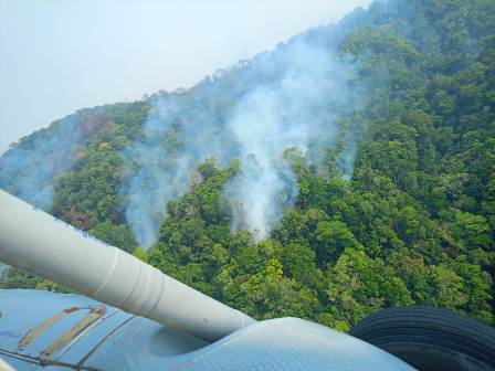 Comisión Estatal Forestal