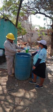 Realizan acciones de control larvario en municipios con alta densidad de dengue