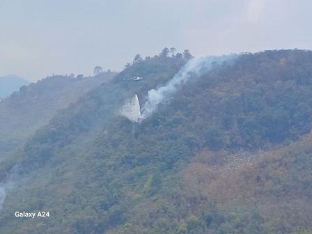 Comisión Estatal Forestal