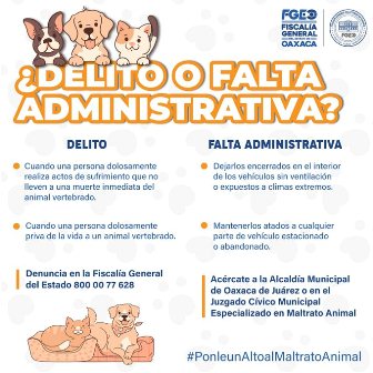 Delito o falta administrativa