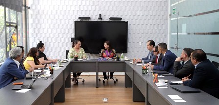 Guadalupe Taddei Zavala