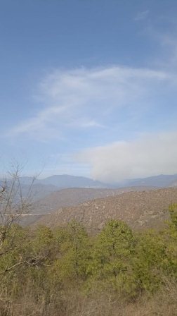 Incendio forestal
