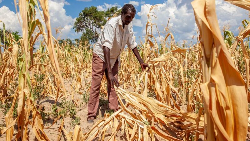 El 80% de la población mundial desea que los gobiernos adopten medidas más enérgicas contra el cambio climático