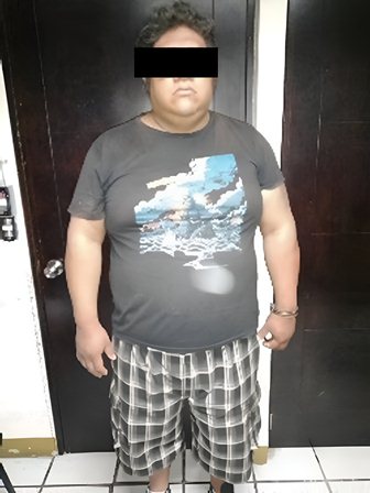 robo y desmantelamiento de vehículos