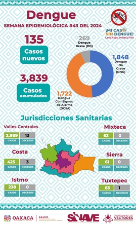 Registran 135 casos nuevos de dengue, 3,839 acumulados; Confirman una defunción, que suma 17 decesos