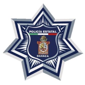 Detiene Policía Estatal a probables responsables de portación ilegal de arma de fuego