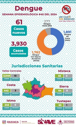 Contabiliza Servicios de Salud de Oaxaca 61 casos nuevos de dengue, suman tres mil 930 acumulados