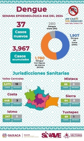 Convoca Servicios de Salud de Oaxaca no descuidar medidas preventivas contra el dengue