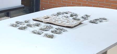 Aseguran dosis de diversos tipos de drogas