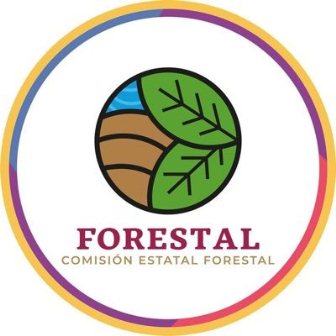 Controla Coesfo incendio forestal en Santa María Yucuhiti, Oaxaca