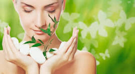 Compras online en México durante 2024: ¿Qué productos arrasaron este año?