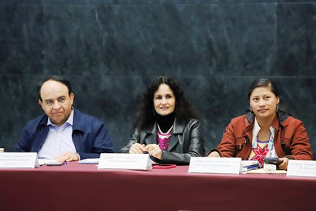 Demandan pueblos originarios mayor voz y voto en los temas que afecten a sus comunidades