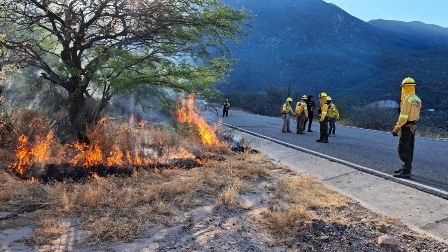 Protegen el Boquerón de Tonalá con apertura de dos mil 700 metros de línea negra