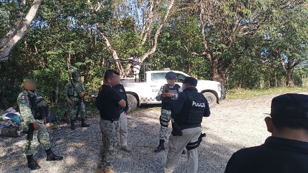 Operativos en aserraderos