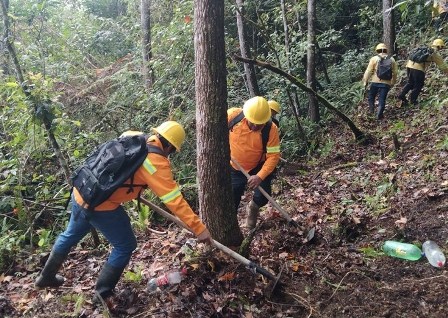 Rehabilita Coesfo brecha cortafuego en Santa María Alotepec, Oaxaca