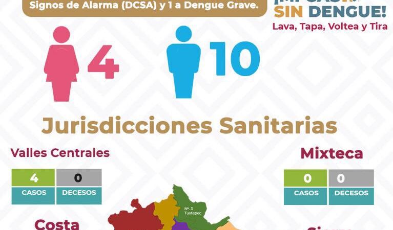 Casos de dengue