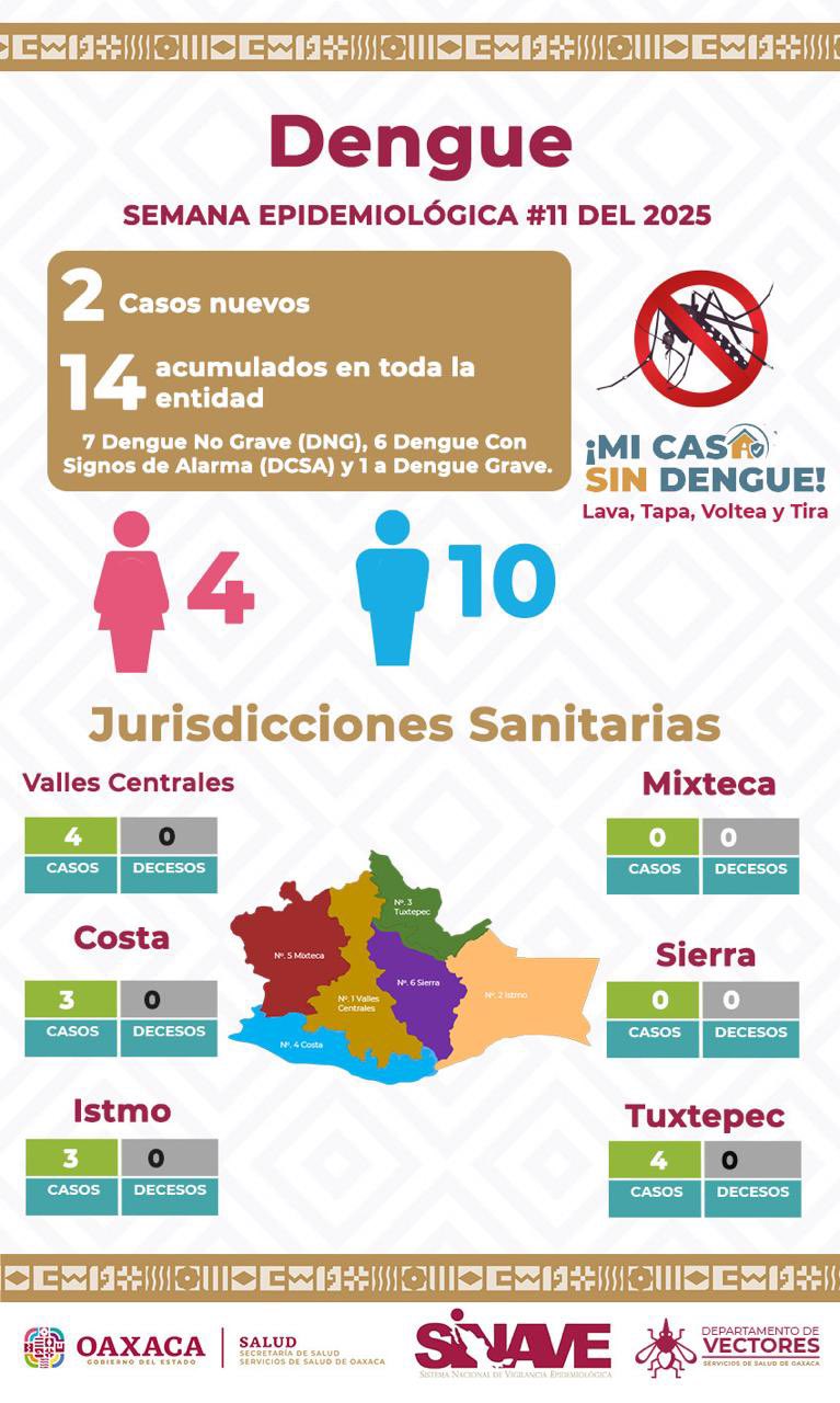 Redoblan acciones contra el dengue en zonas prioritarias del estado de Oaxaca