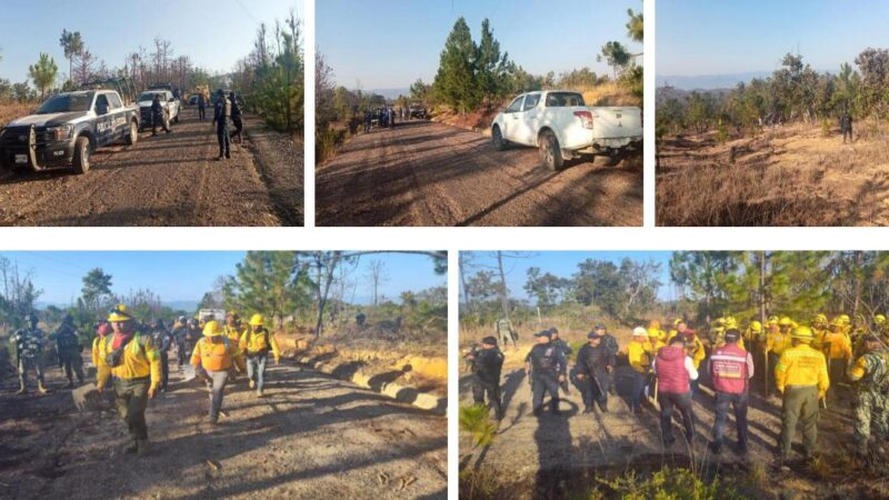 Combaten incendio forestal