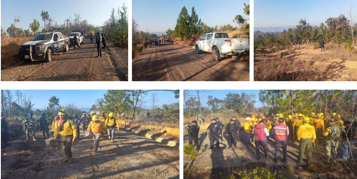 Coadyuva Secretaría de Seguridad y Protección Ciudadana en combate de incendio forestal en San Juan Mixtepec
