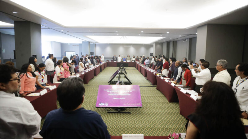 Pueblos Indígenas y Afromexicanos