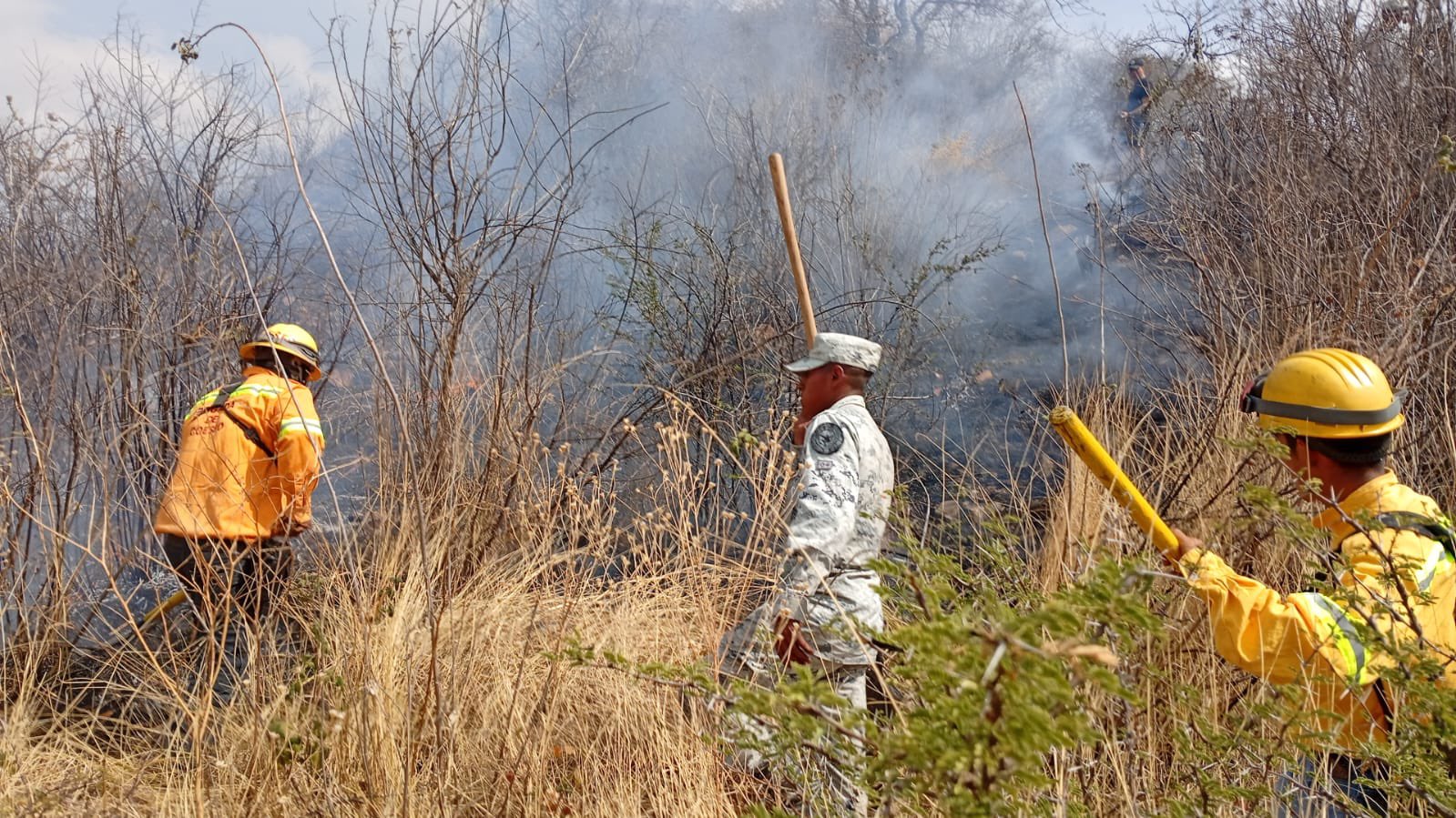 Atiende Coesfo reporte de incendio de pastizales en inmediaciones de polígono de Monte Albán