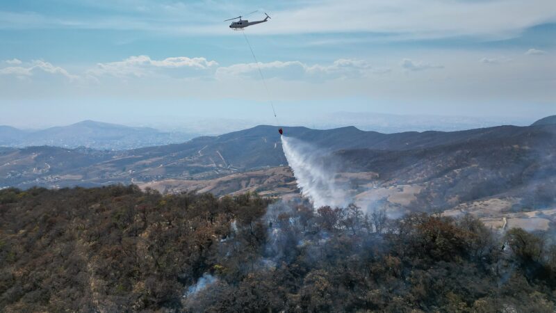 Incendios forestales