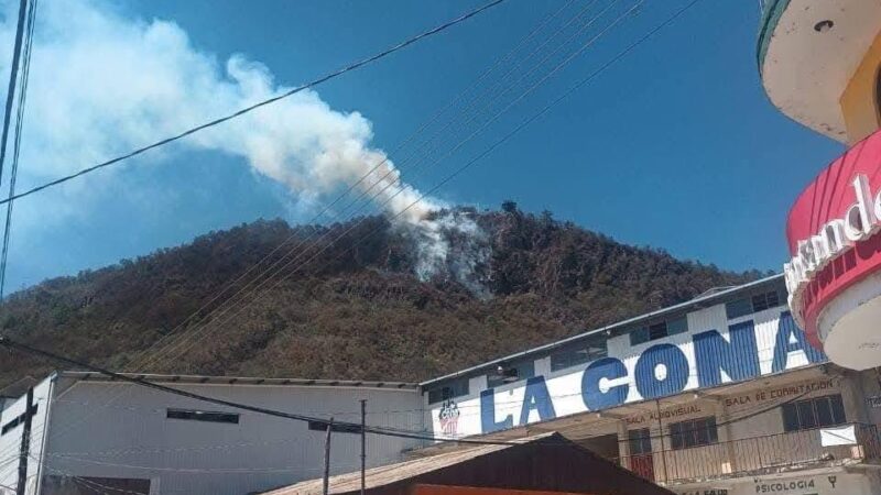 Comisión Estatal Forestal