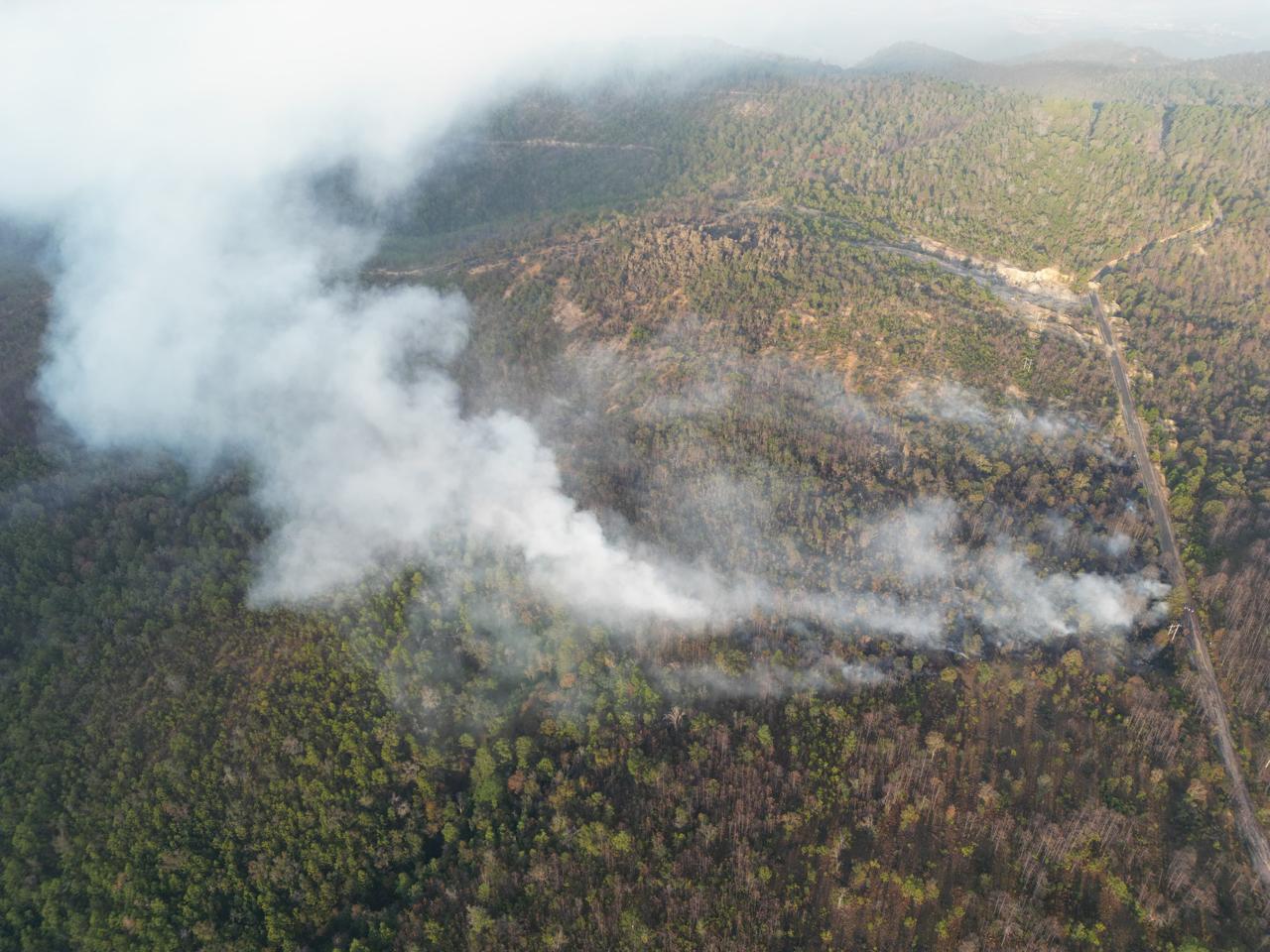 Liquida Coesfo incendio forestal en San Juan Mixtepec, Oaxaca