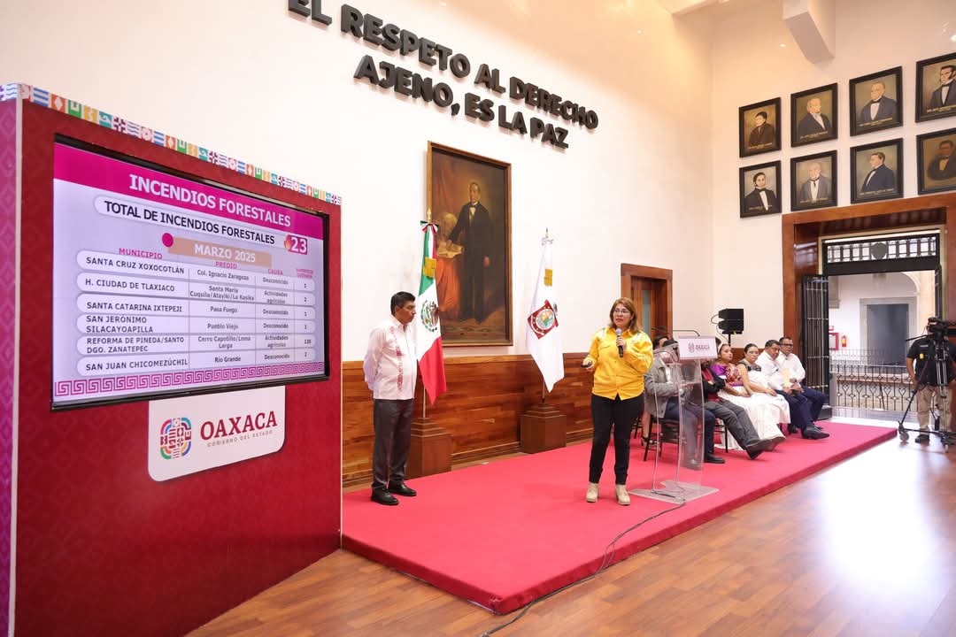 Afectan 37 incendios forestales más de 919 hectáreas en lo que va del año en Oaxaca