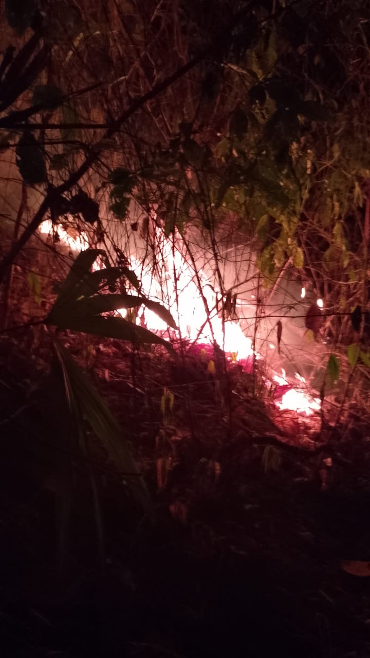 Combaten incendio forestal activo en San José Chacalapa, Oaxaca