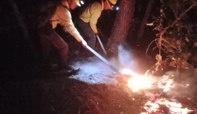 Incendios forestales