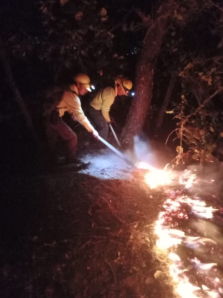 Atiende Coesfo incendio forestal en inmediaciones de zona arqueológica Yagul