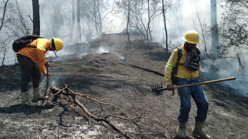 San Agustín Loxicha - Santiago Ixtayutla