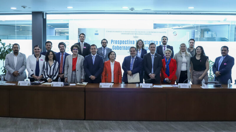 Amalia García Medina