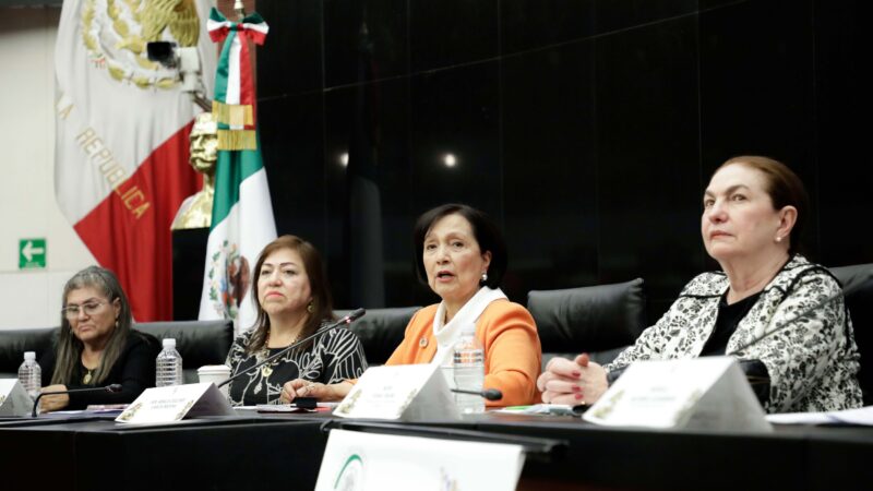 Amalia García Medina