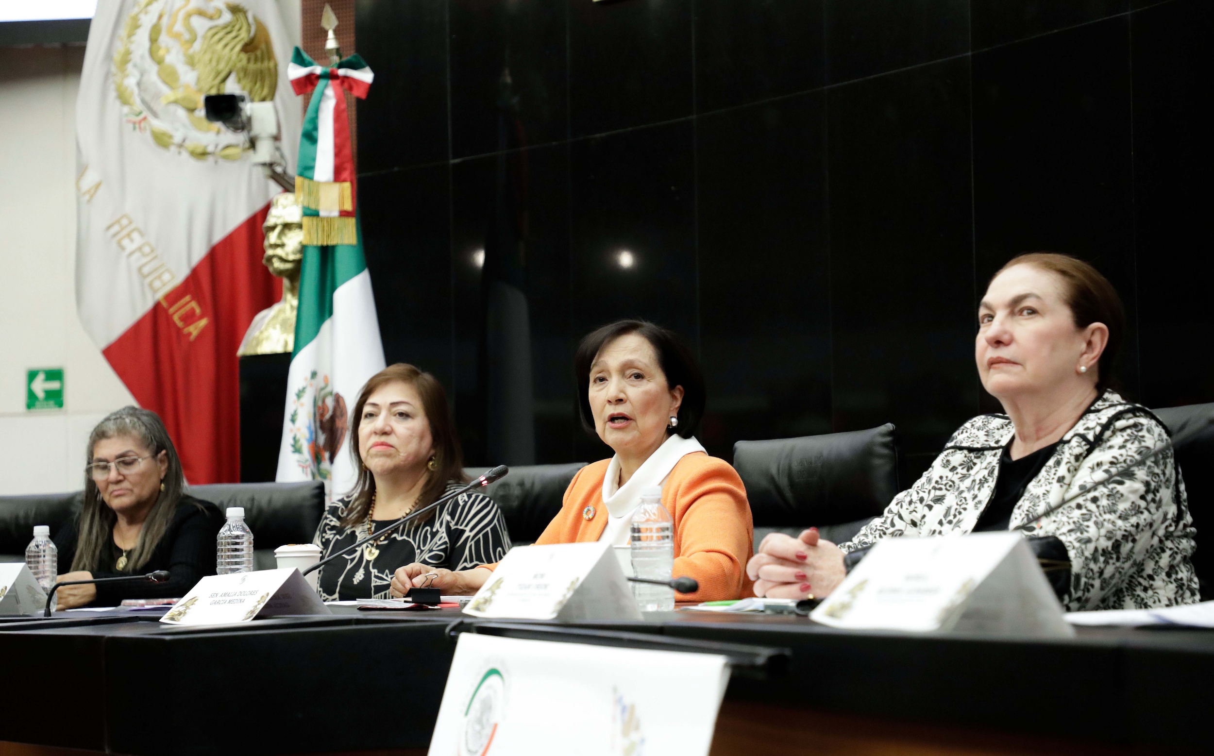 Presentan Informe Alterno Beijing+30 en México; Reconoce retos a favor de los derechos de las mujeres