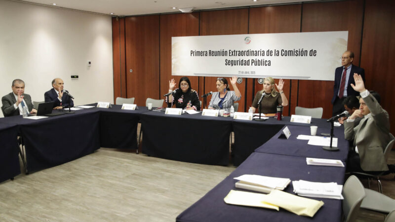 Comisión de Seguridad Pública