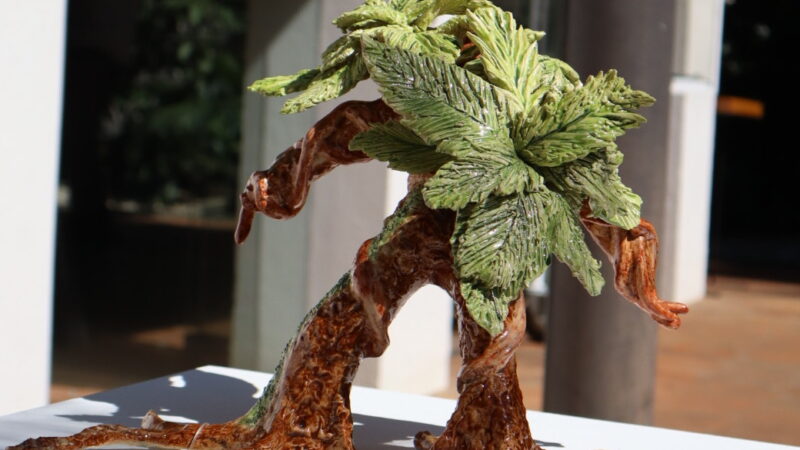 Nos toca ser el asteroide