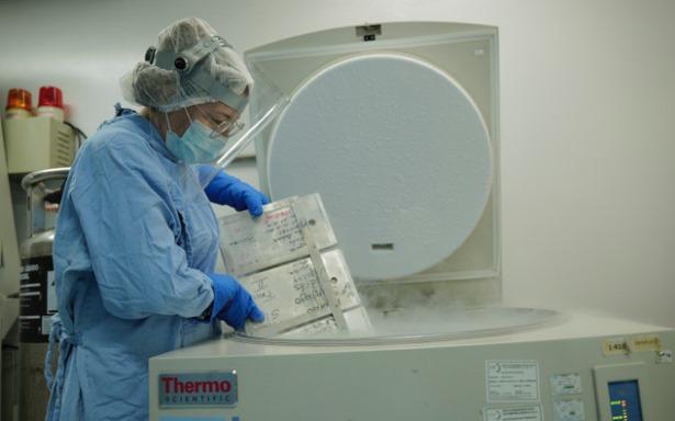 Banco de Cordón Umbilical del IMSS, único en su tipo en el país, beneficia a pacientes con enfermedades oncológicas y hematológicas