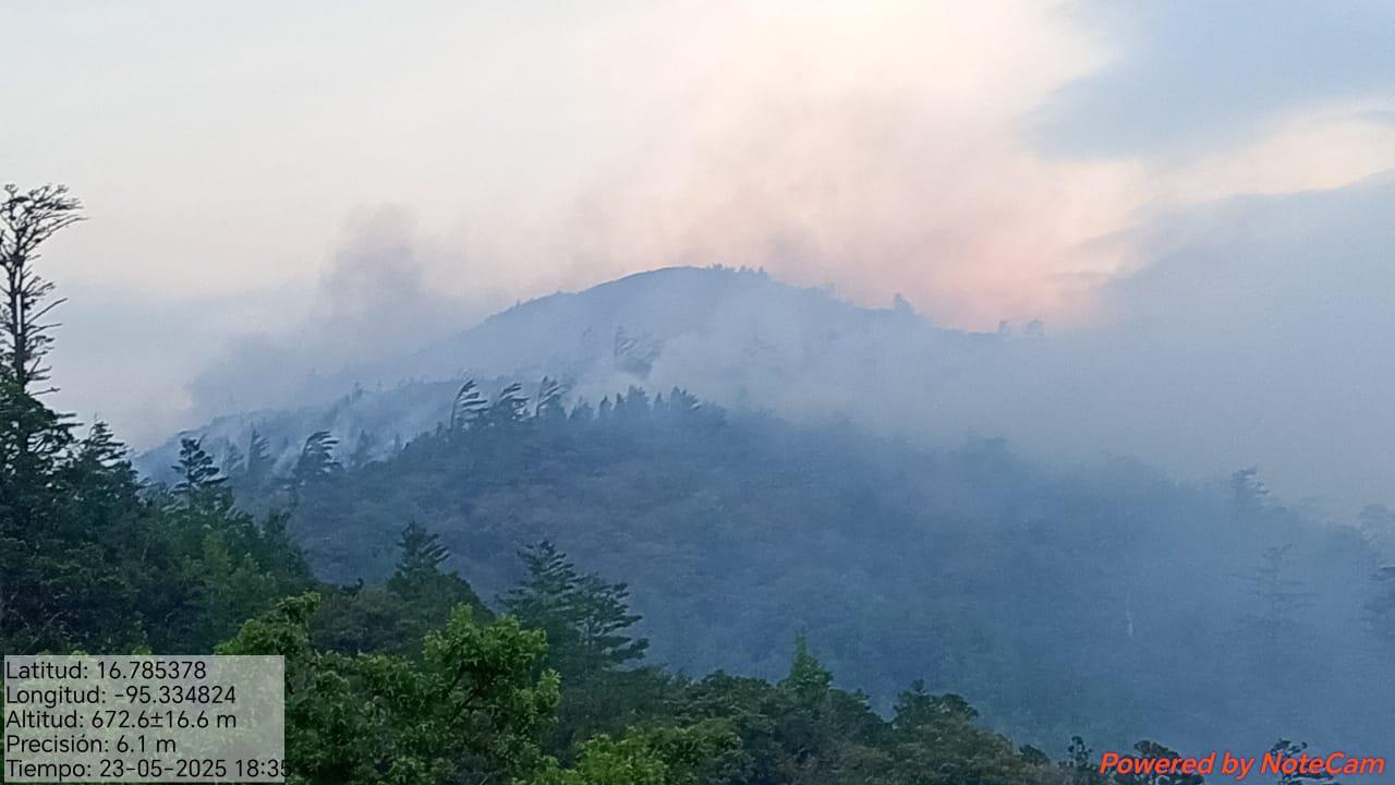 Controla Coesfo incendios forestales en límites de Santa María Guienagati y Guevea de Humboldt