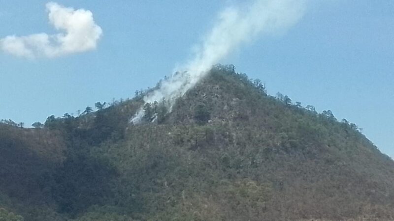 Incendio forestal
