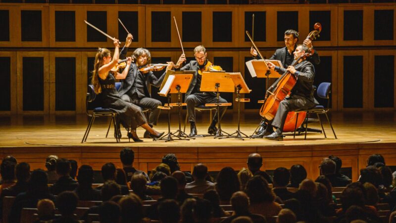 Wiener Kammersymphonie