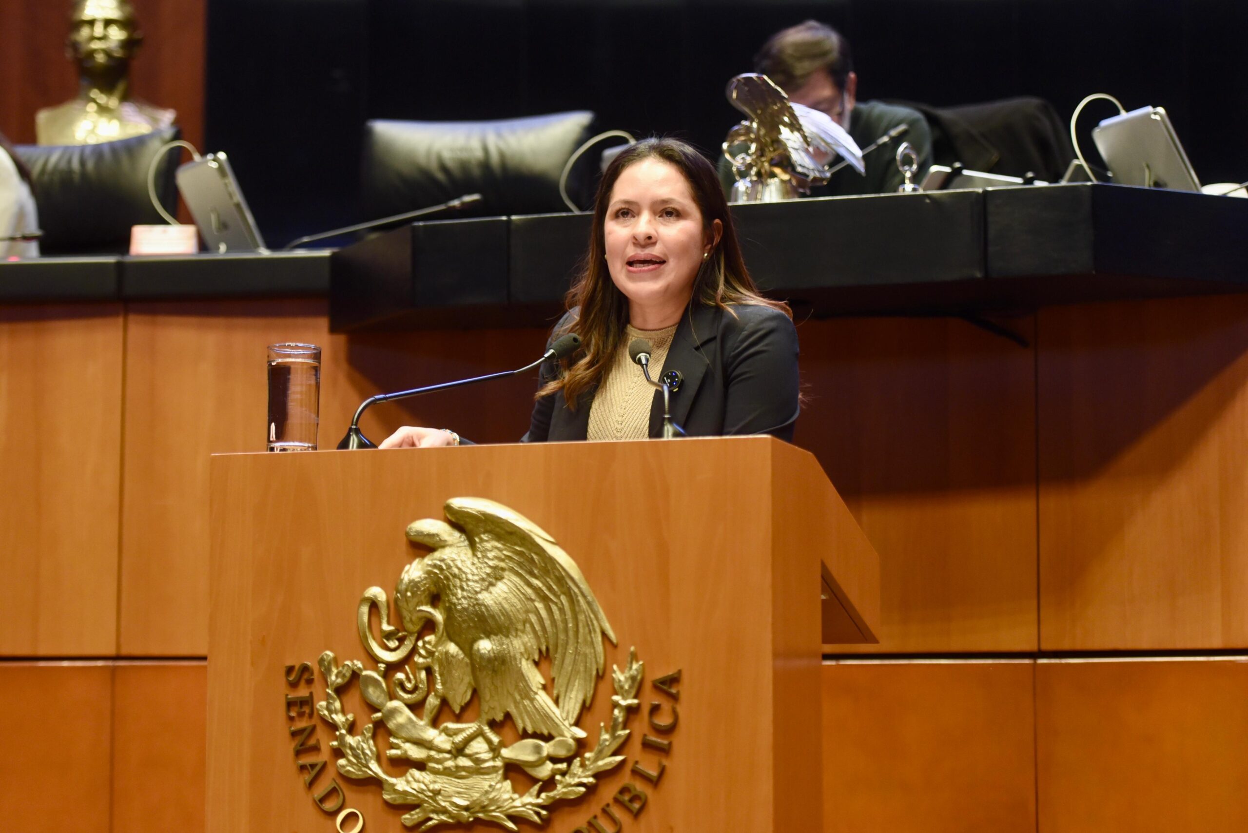 Avalan proyecto de reforma para prohibir uso de mamíferos marinos en espectáculos