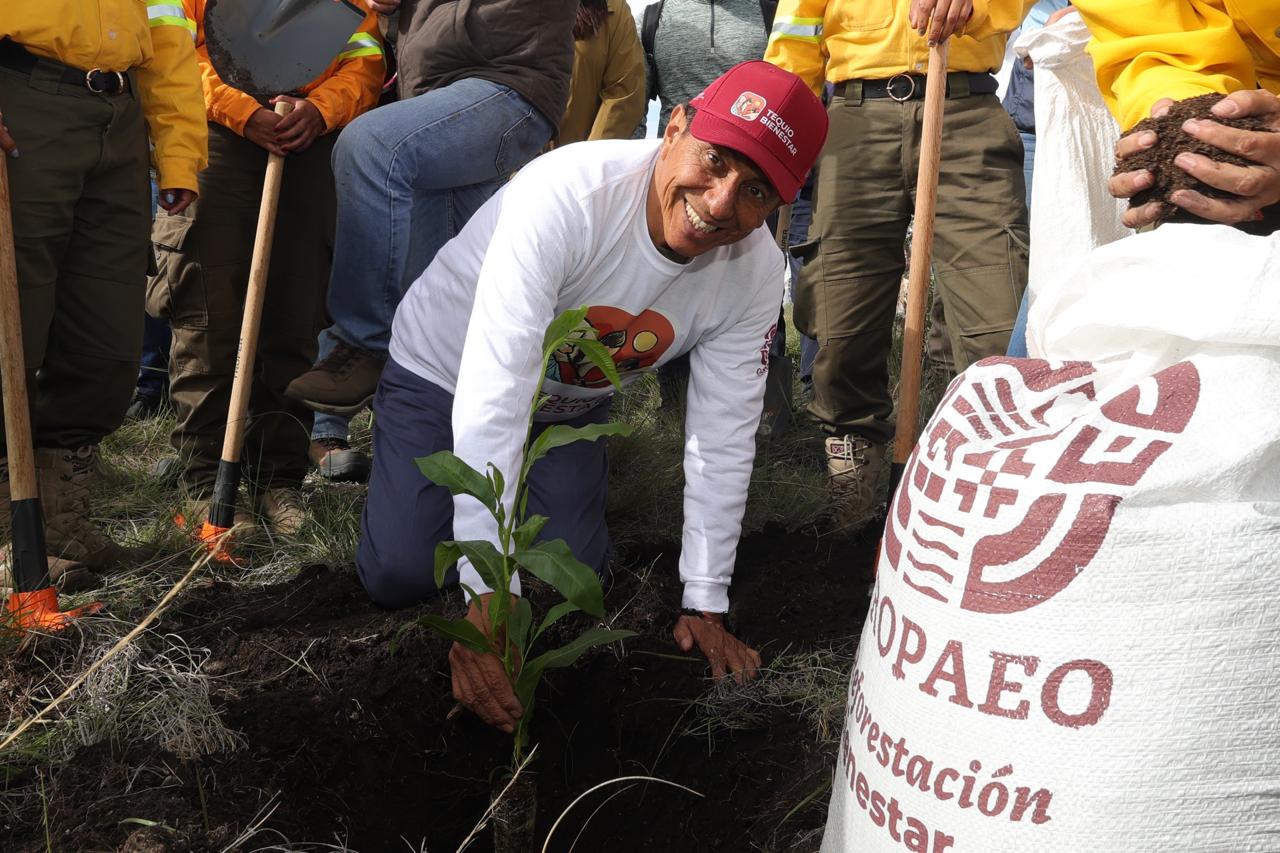 Con Mega Tequio de Reforestación 2025, restauran el ecosistema de la zona Chocho-Mixteca