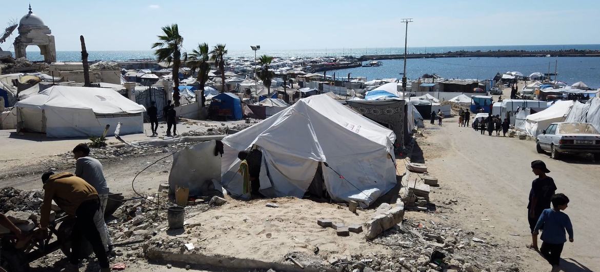 Israel mata más palestinos al intentar conseguir alimentos