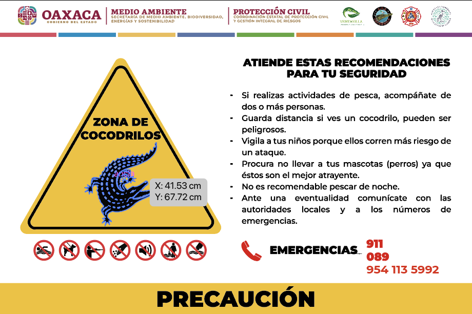 Emiten recomendaciones por posible avistamiento de cocodrilos por el paso del Huracán “Erick”