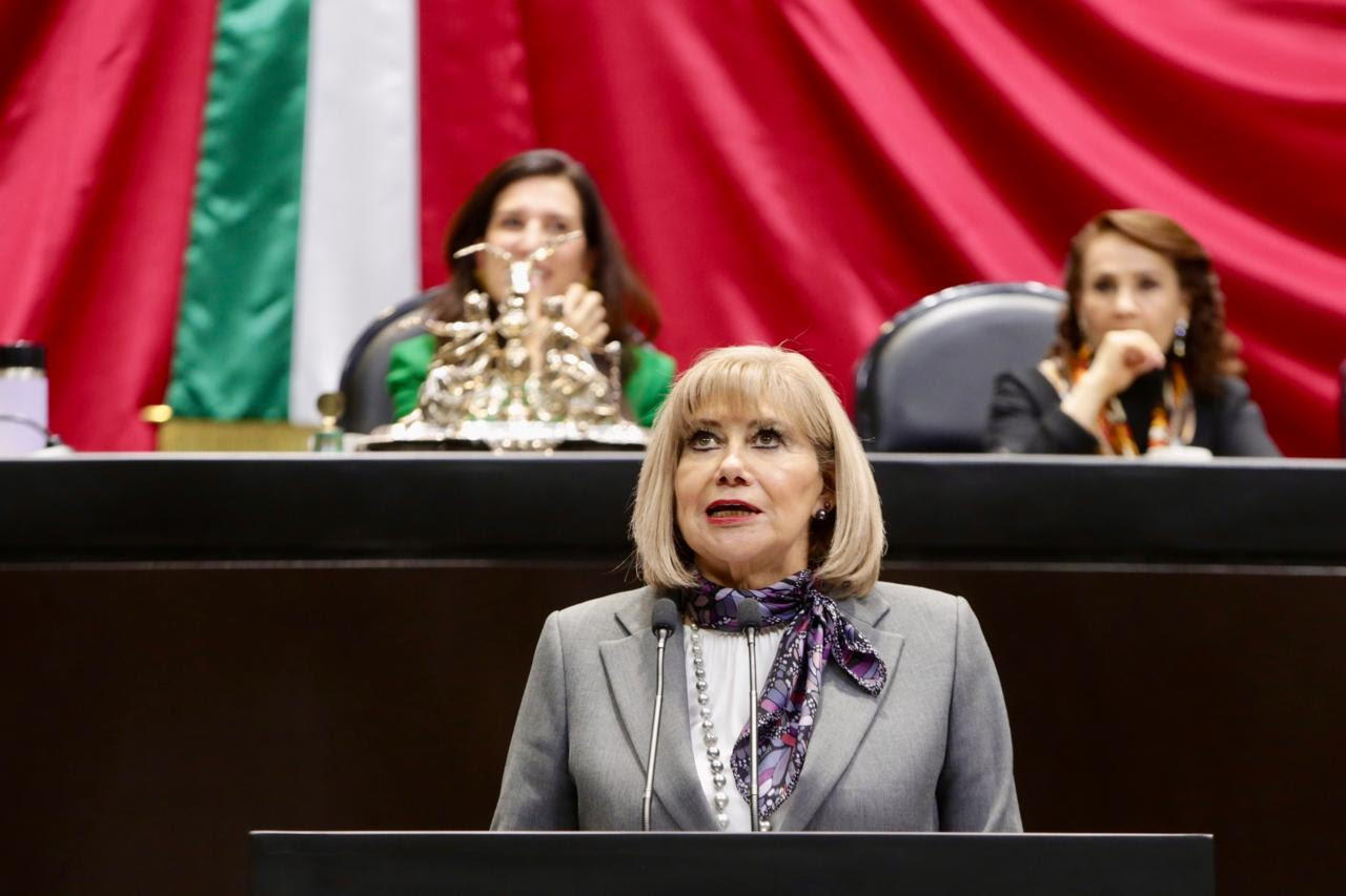 Piden garantizar lenguaje inclusivo y acceso igualitario a servicios para personas con discapacidad y afromexicanas