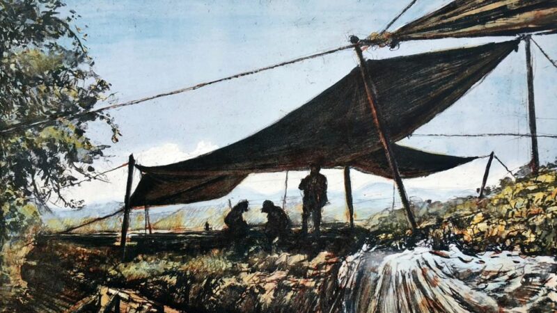 Fernando Aceves Humana