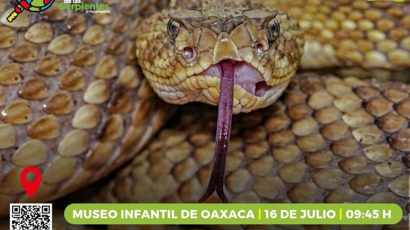 Festival Mexicano de las Serpientes